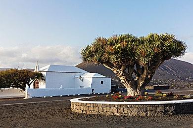 《夜行侦探：幽灵敌人》开场动画公布 游戏6月30日发售