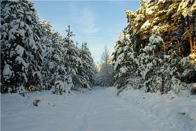 R星环境设计师分享虚幻5自制魂游风格截图
