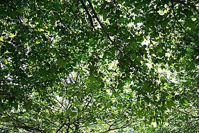 《地铁：逃离》Steam国区价格永降 本体游戏降价50元